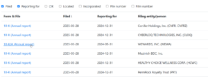 A table lists SEC Annual Reports, showing form type, filing date, reporting period, and company names such as Conifer Holdings, CYBERLOQ TECHNOLOGIES, and WEWARDS, with links to &ldquo;Annual report&rdquo; documents.